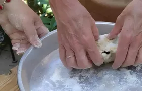Vegetarian cooking experience in Gjirokastër