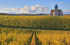 Visit of the Domaine Clotilde Davenne and Chablis wine tasting session
