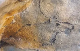 El Castillo caves and Paleolithic art day trip from Santander