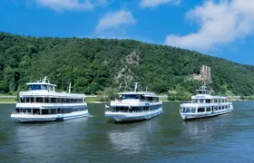 Ticket for Rhine castle cruise from Rüdesheim