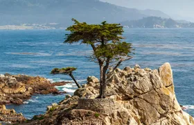 Self-Guided Audio Driving Tour of 17-Mile Drive