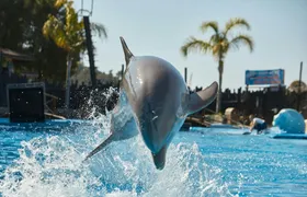 Mundomar Park Admission Tickets