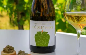 Indigenous Wine Tasting Tour on Lipari Island