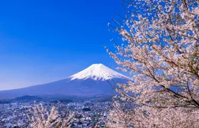 Mount Fuji and Oshino Hakkai Tour with Optional Hot Springs or Outlet