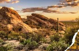 Saguaro National Park and Mt. Lemmon Self-Guided Audio Tour