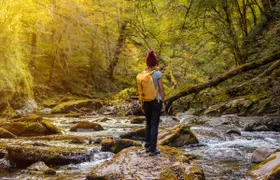 Day trip to Ochagavia and the Irati Forest from Pamplona