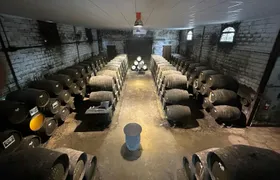 Winery tour and wine tasting in Chiclana de la Frontera in Cádiz