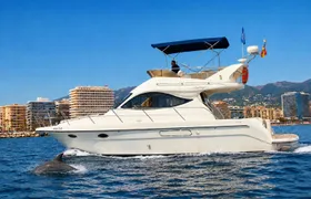 Dolphin watching on a luxury shared yacht with drink