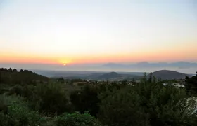 Zia by Night
