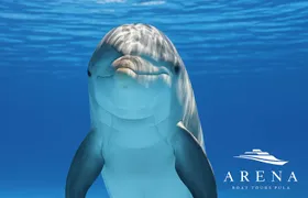 Sunset boat tour to Brijuni National Park with dolphin watching