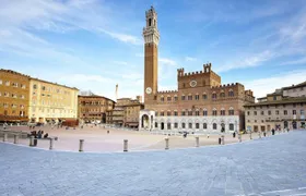 Guided walking tour of Siena