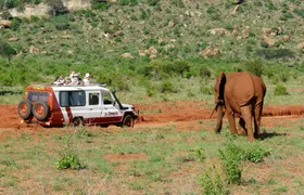 Tsavo East Safari with Overnight Stay at Ashnil Aruba Lodge