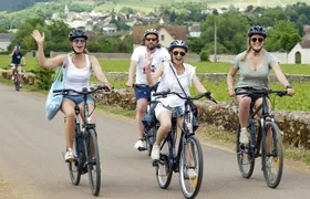 Half-day bike and wine tour in Côte de Beaune