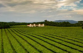 La Val winery guided tour with wine tasting