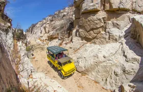 Baja desert trek and camel tour