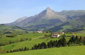 Idiazabal Basque cheese tour from San Sebastian