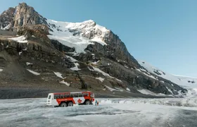 Columbia Icefield and Peyto Lake day tour from Calgary
