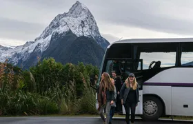 Milford Sound coach tour and day cruise experience