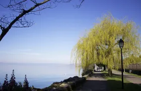 Tour of the Instagrammable spots of Montreux with a local