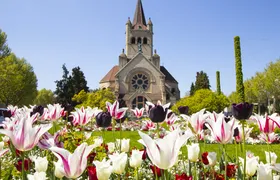 Discover Basel's most photogenic spots with a local