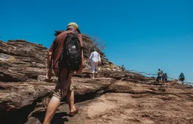Kakadu National Park full day sightseeing tour in Darwin