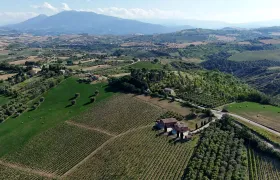 Cantina D'Erasmo Guided Tour with 3 Signature Wine Tastings