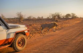 Tsavo East, Taita Hills and Salt Lick three-day safari from Mombasa