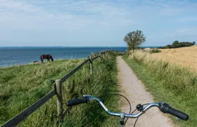 Self-guided tour all around Øresund