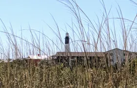 Private tour of Savannah's Historic District & islands