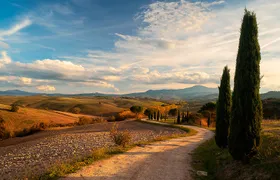 Private Tour - A Day in the Enchanting Val D'Orcia with Wine Tasting