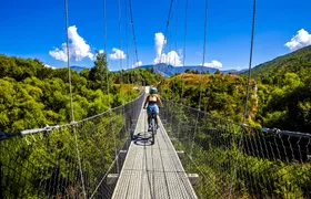 Valley of the Vines E-bike tour with transfer from Queenstown