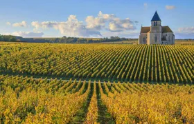 Visit of the Domaine Clotilde Davenne and Chablis wine tasting session