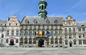 Mons 2-hour intro walking tour with a local