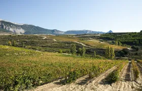 Winery Visit in La Rioja from Pamplona with Tasting and Lunch