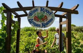 Zante tour with early dinner, wine-tasting and optional Blue Cave boat trip