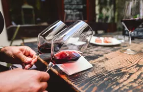 Bolzano wine experience with a professional sommelier