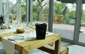 Vinho Verde vineyard and wine tasting experience