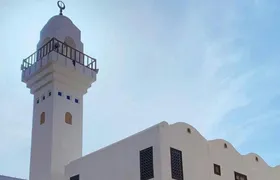 Madinah guided tour without lunch