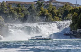 Rhine Falls half-day tour from Zurich