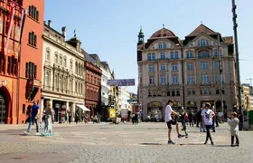 Explore the Instaworthy spots of Basel with a local
