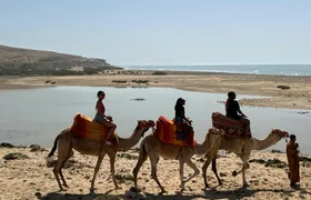 Camel Riding and Moroccan Tea on Tamri Beach from Agadir or Taghazout