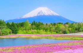 1-day tour to Mount Fuji, Oshino Hakkai with outlets or hot springs