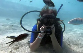 Scuba diving lesson for beginners in Crete with pick-up option