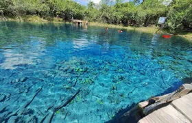 Blue Crater, Imox Lagoon and Poza Azul boat tour from Flores