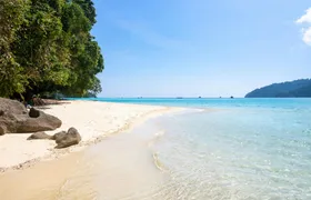 Full-day Surin Islands early bird tour by speed catamaran with optional transfers