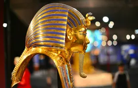 New Grand Egyptian Museum and Giza Pyramids from Cairo with Lunch