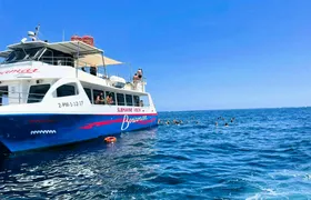 Catamaran Cruise with Mussel Tasting and Wine from Denia
