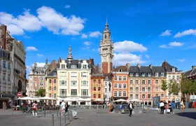 30-minute private tour in Lille by Citroën 2CV
