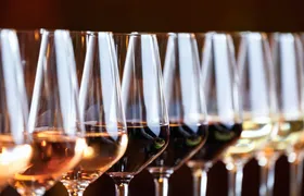 Slovak wine tasting with a sommelier in Bratislava