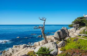 Scenic 17-Mile self-guided driving tour in Monterey
